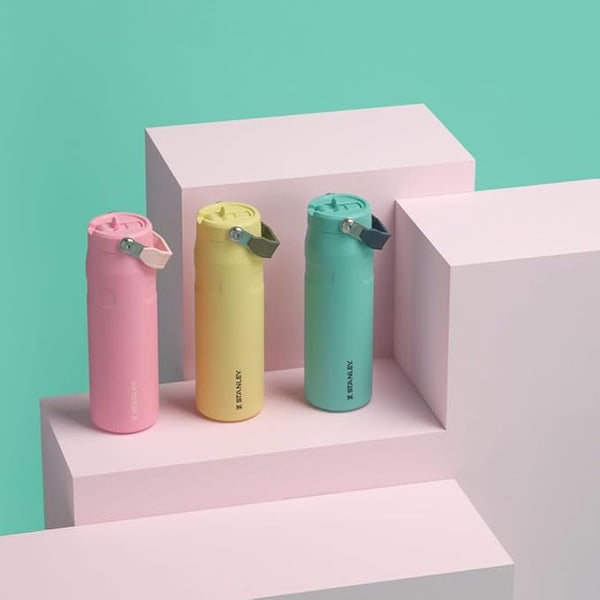 Stanley IceFlow Flip Straw 2.0 Water Bottle 24 oz | Leak Resistant