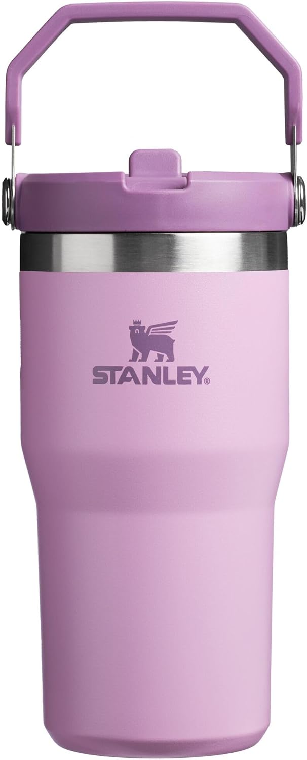 STANLEY IceFlow 2.0 Flip Straw Tumbler 20 oz