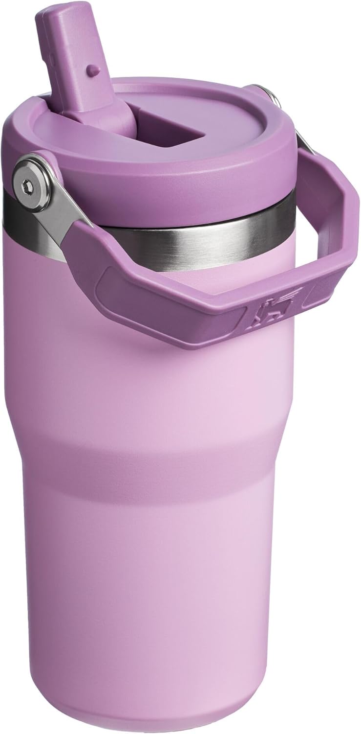 STANLEY IceFlow 2.0 Flip Straw Tumbler 20 oz
