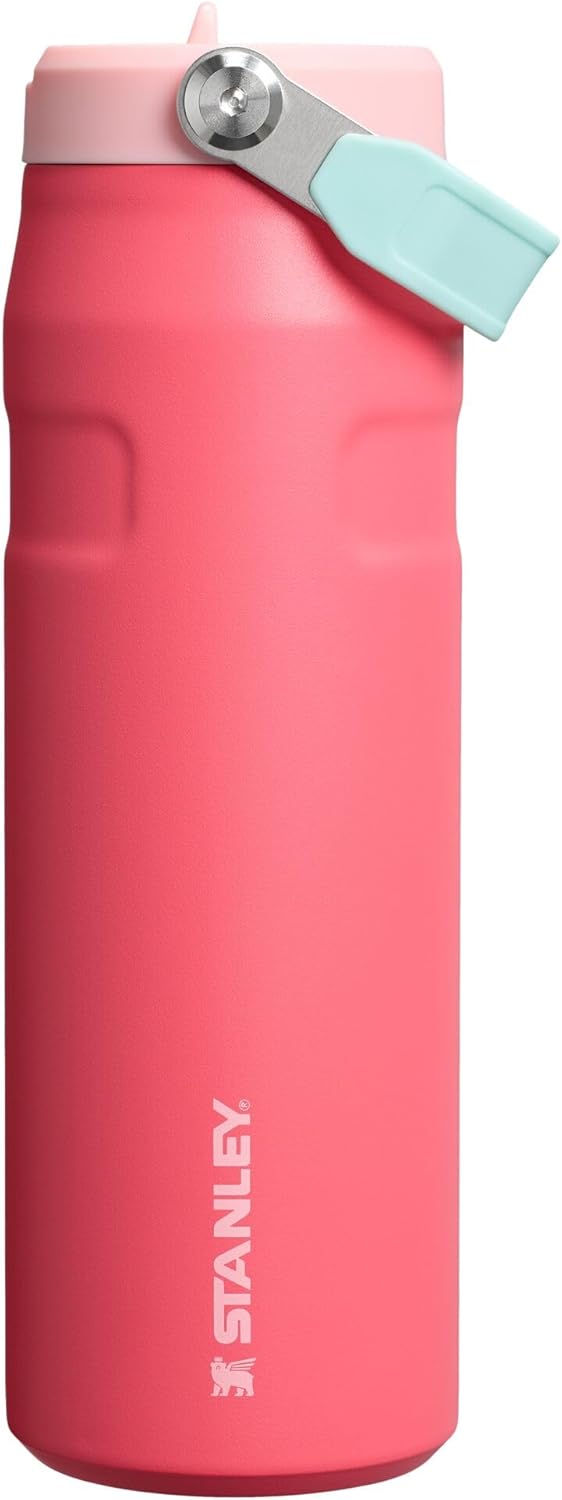 The IceFlow™ Bottle with Flip Straw Lid | 24 OZ Oasis