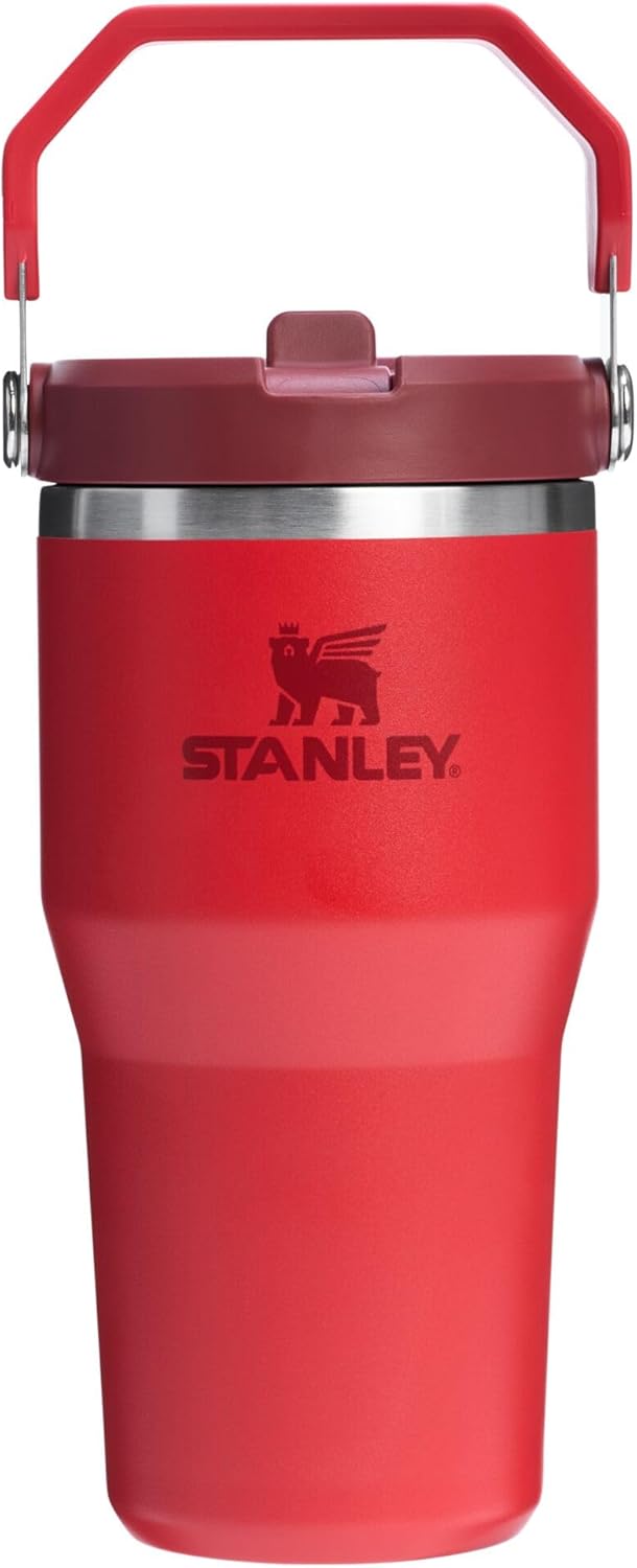 STANLEY IceFlow 2.0 Flip Straw Tumbler 20 oz