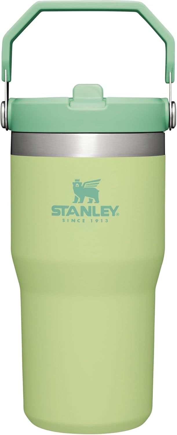 STANLEY IceFlow 2.0 Flip Straw Tumbler 20 oz