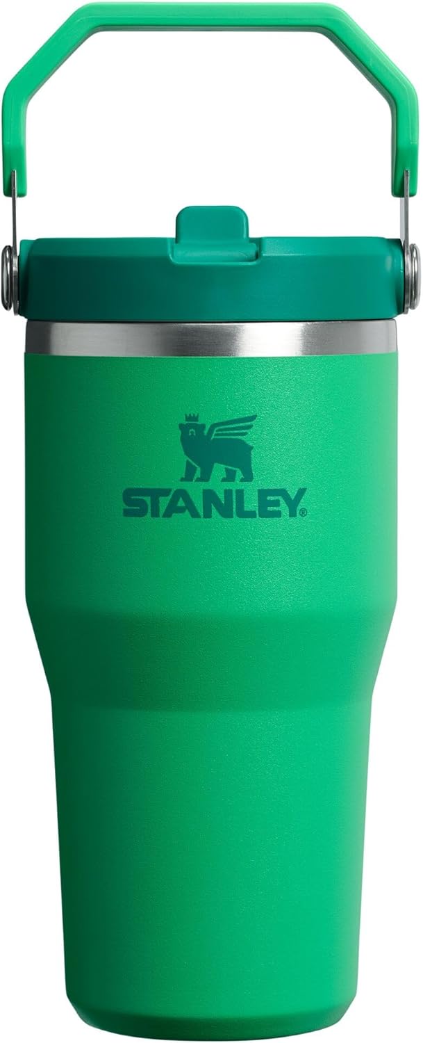 STANLEY IceFlow 2.0 Flip Straw Tumbler 20 oz