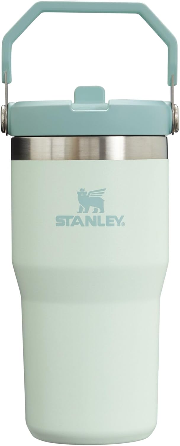 STANLEY IceFlow 2.0 Flip Straw Tumbler 20 oz