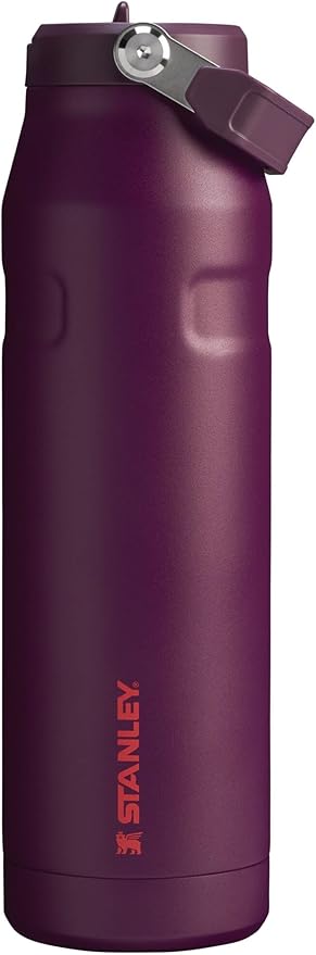 Stanley IceFlow Flip Straw 2.0 Water Bottle 24 oz | Leak Resistant