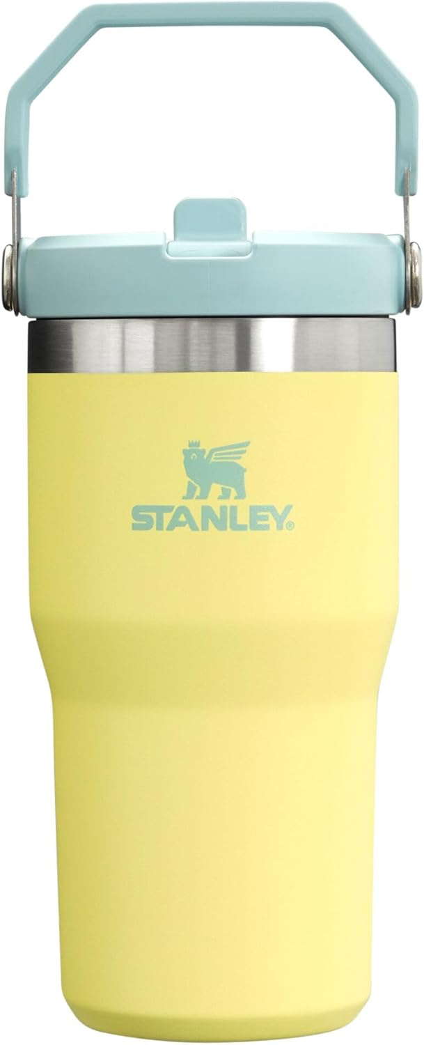 STANLEY IceFlow 2.0 Flip Straw Tumbler 20 oz