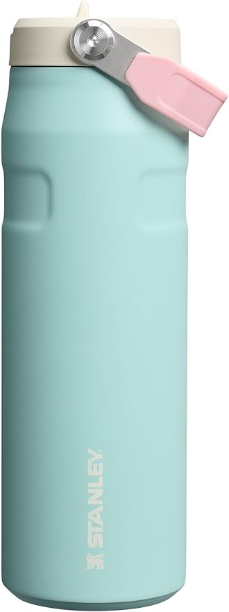 Stanley IceFlow Flip Straw 2.0 Water Bottle 24 oz | Leak Resistant