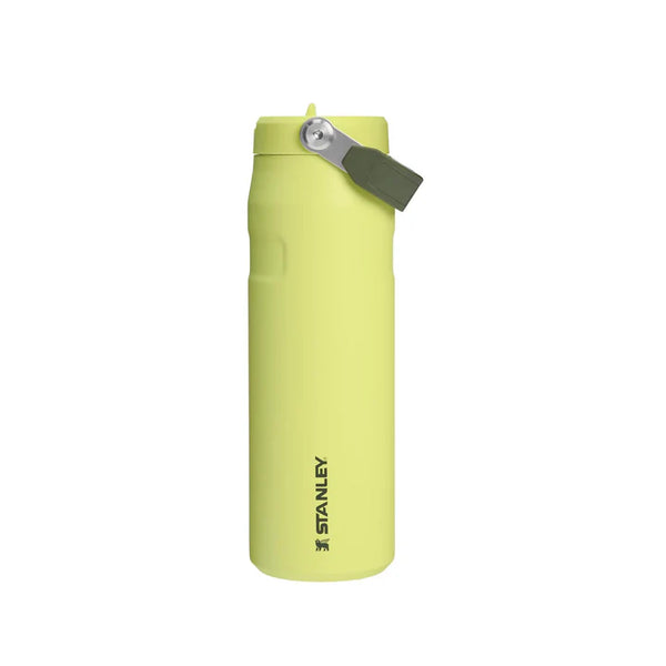 The IceFlow™ Bottle with Flip Straw Lid | 24 OZ Oasis