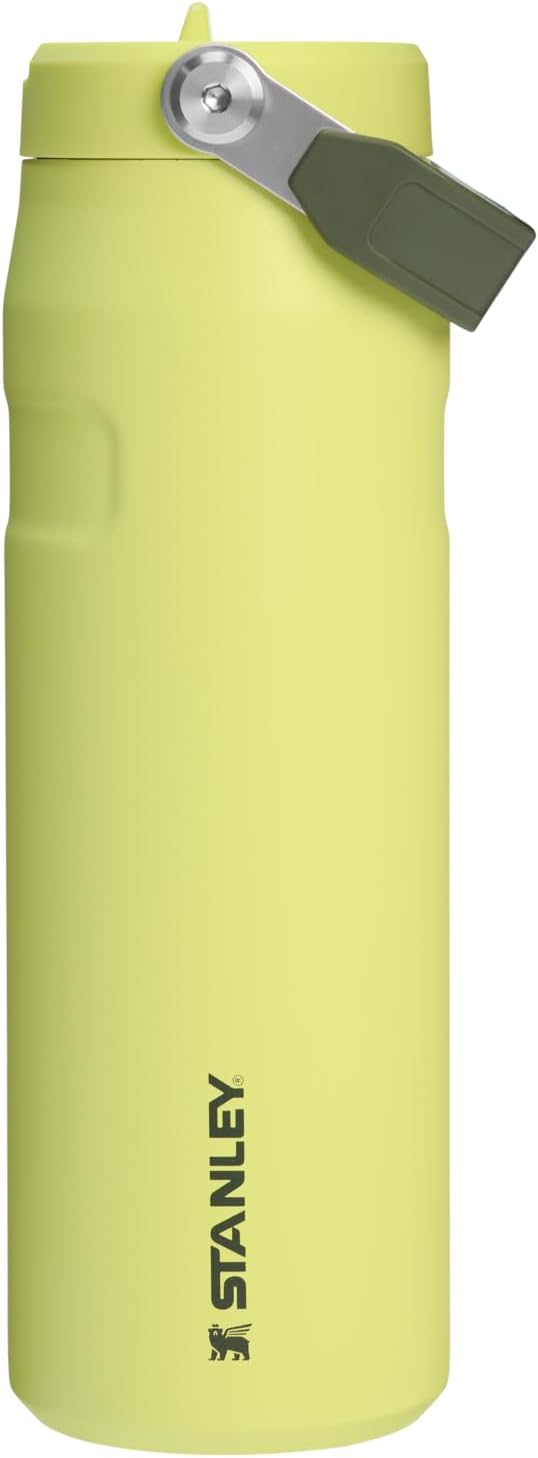 Stanley IceFlow Flip Straw 2.0 Water Bottle 24 oz | Leak Resistant