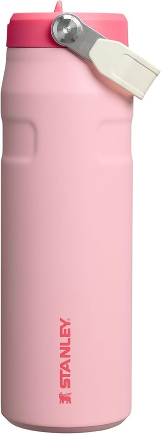 Stanley IceFlow Flip Straw 2.0 Water Bottle 24 oz | Leak Resistant