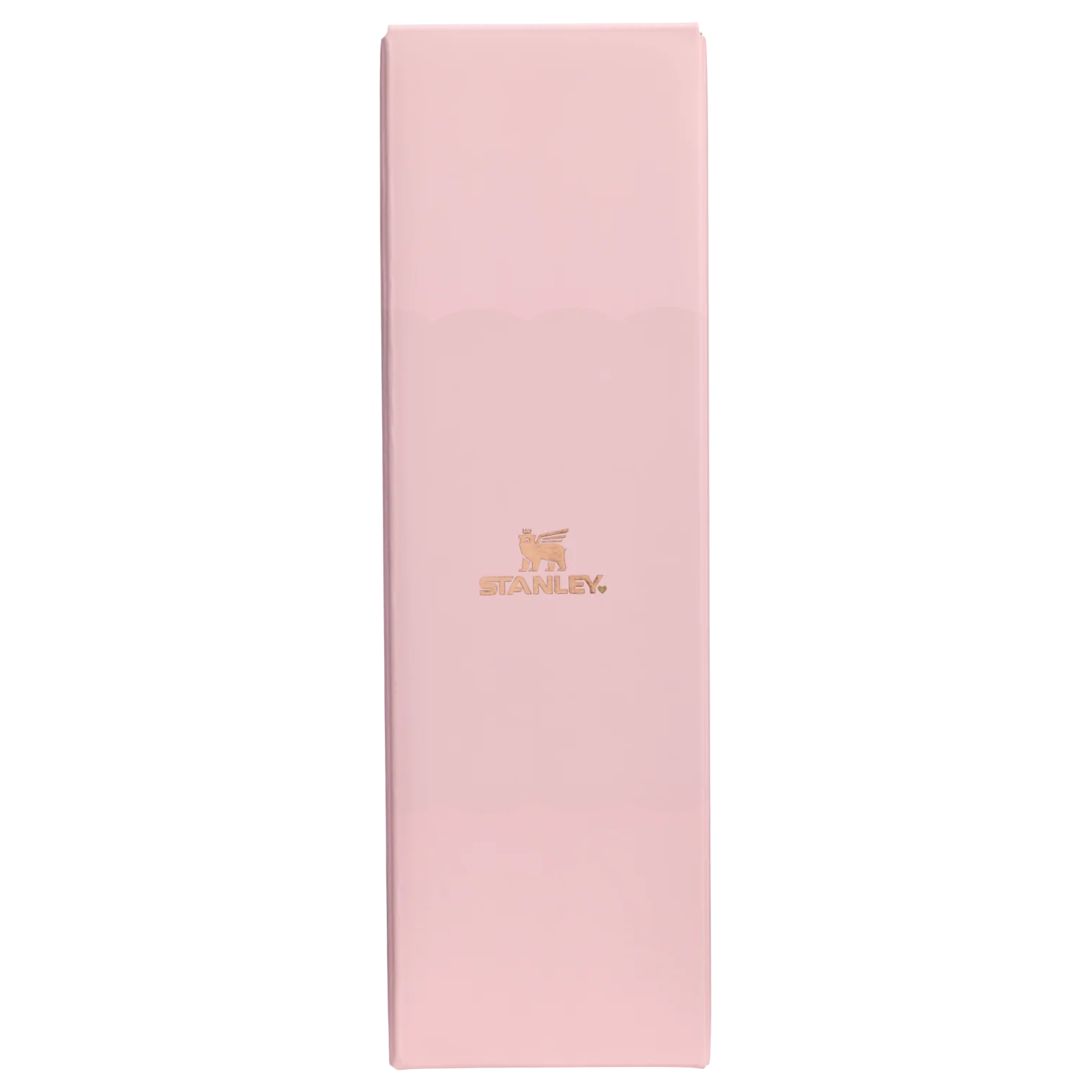 The Valentine's Day Transit Surround Mug | 16 OZ